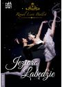 Plakat - JEZIORO ŁABĘDZIE - Royal Lviv Ballet - ODWOŁANE!